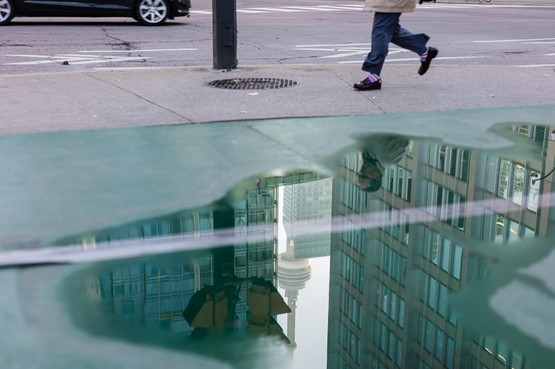 CN Tower reflected in puddle on University Avenue.