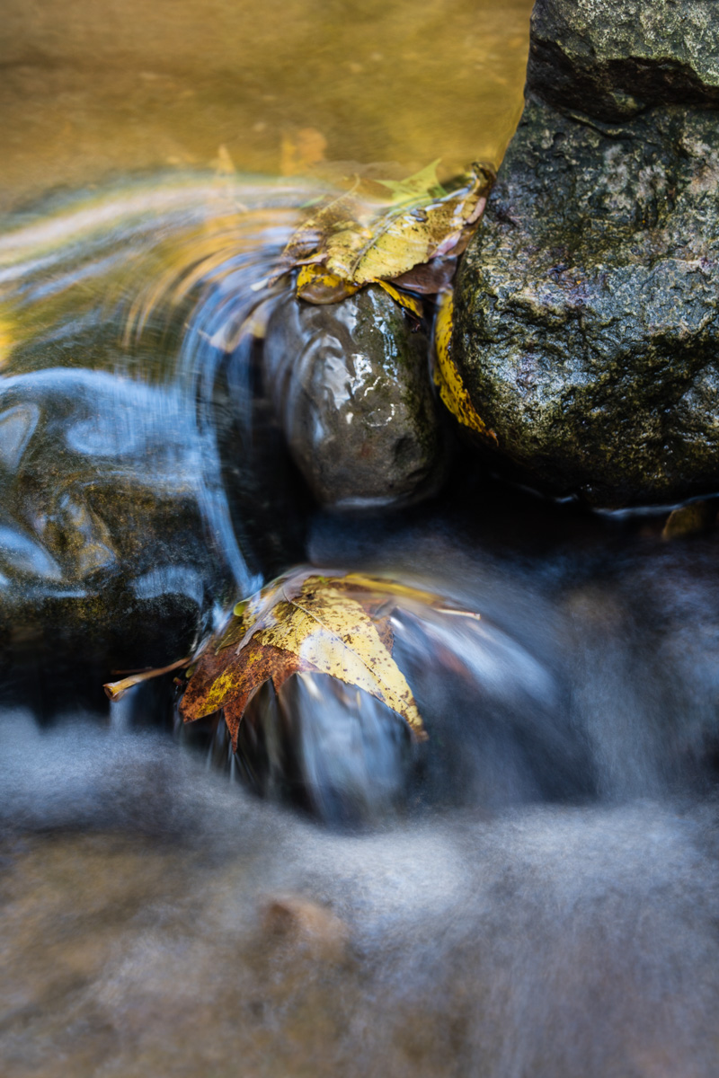 Water pouring over rocks and leaves in Yellow Creek, Toronto.