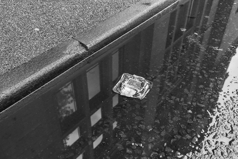 Plastic Food Container In Puddle