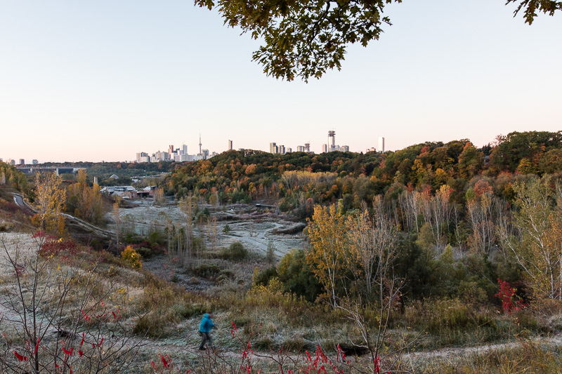 Man walks his dog at dawn thru the Evergreen Brickworks.