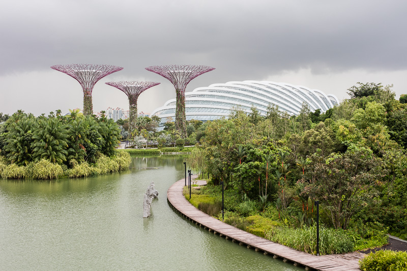 Supertrees and Flower Dome, Gardens by the Bay, Singapore