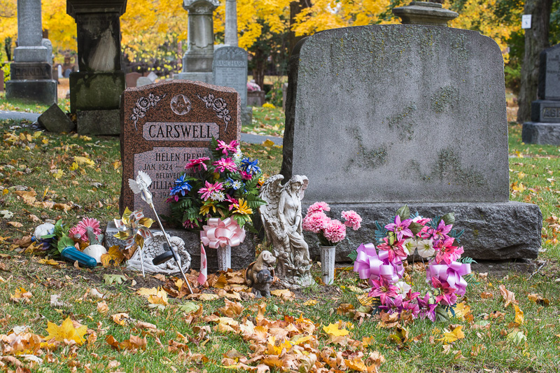 Flowers at a grave