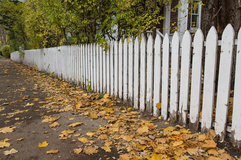 white picket fence in autumn
