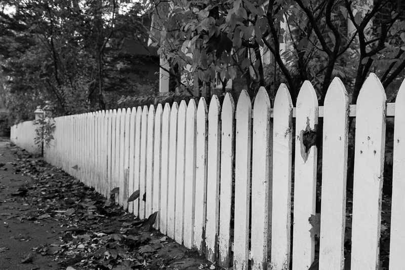 white picket fence, black and white conversion
