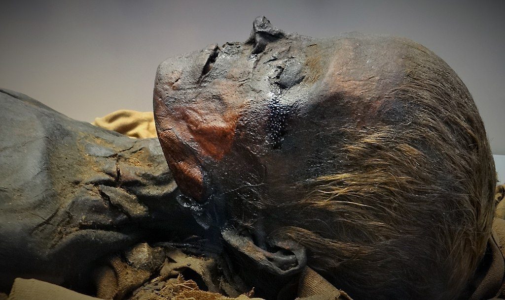 mummified head