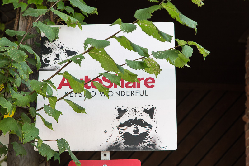 Autoshare sign with raccoon