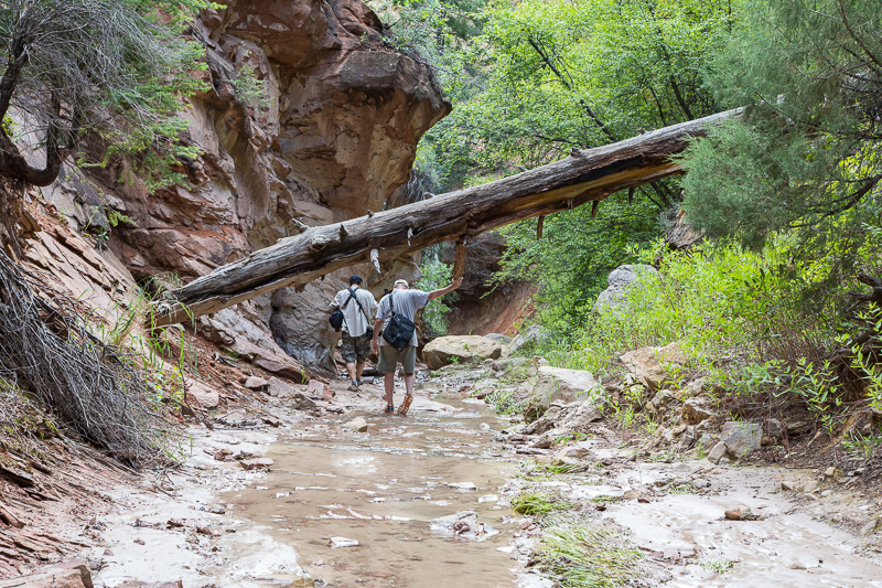 Box Canyon, Ghost Ranch, Abiquiu, NM