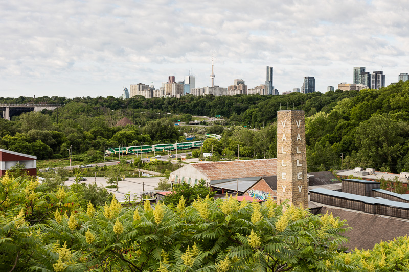 View of the Toronto Skyline from Governor's Hill