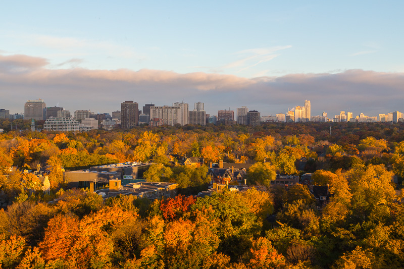 A morning view over Rosedale Valley with north Toronto in the distance.