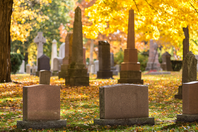 Cemetery headstones in morning light