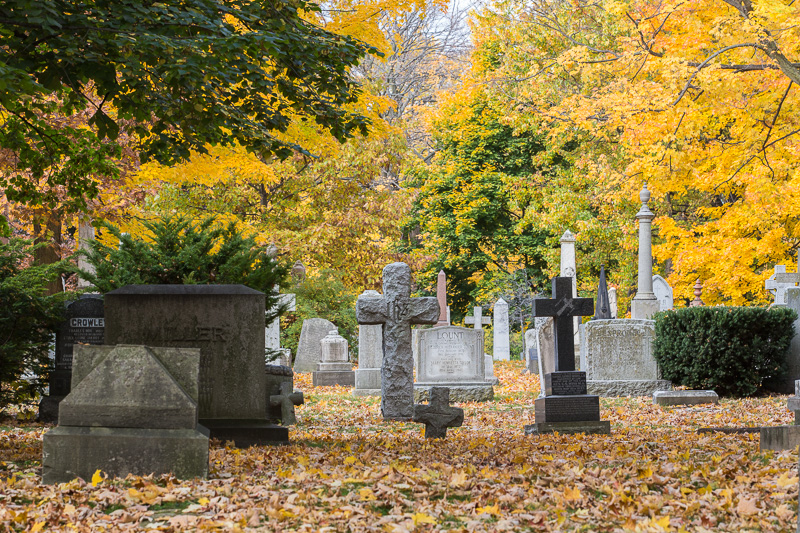 Grave stones in cemetery surrounded by autumn leaves