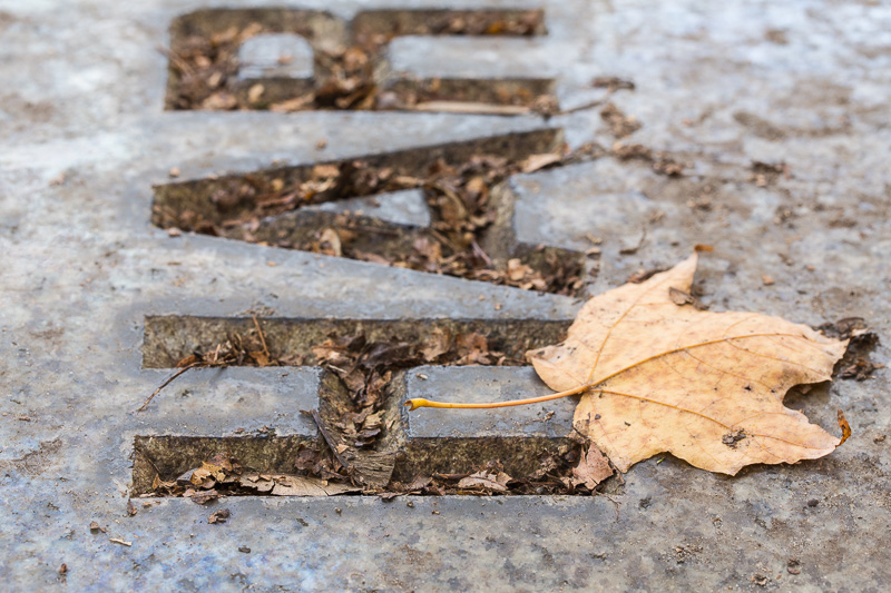 Single brown leaf on grave stone