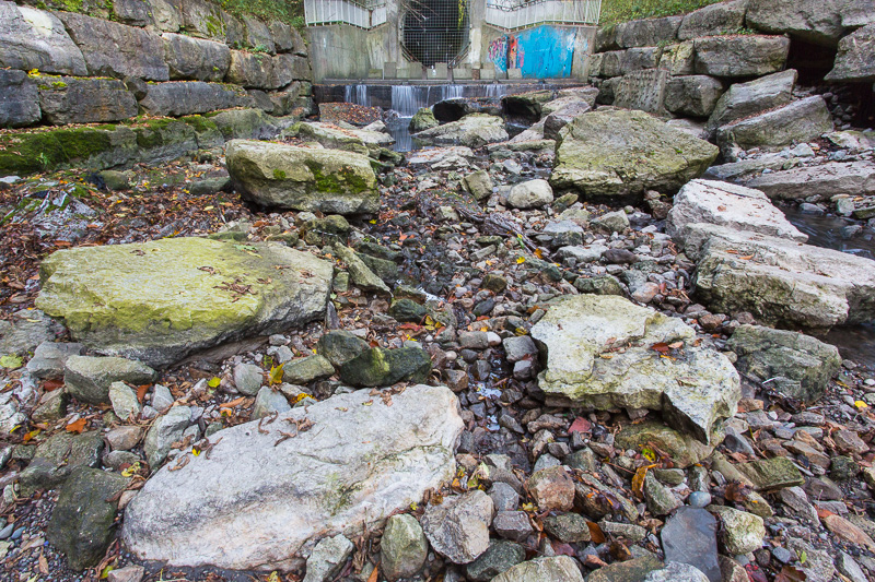 Culvert and creek bed