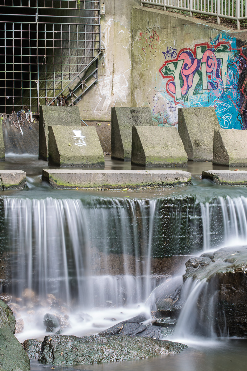 Water pouring from culvert