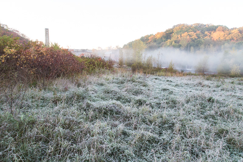 Toronto's Evergreen Brickworks, grass covered in frost