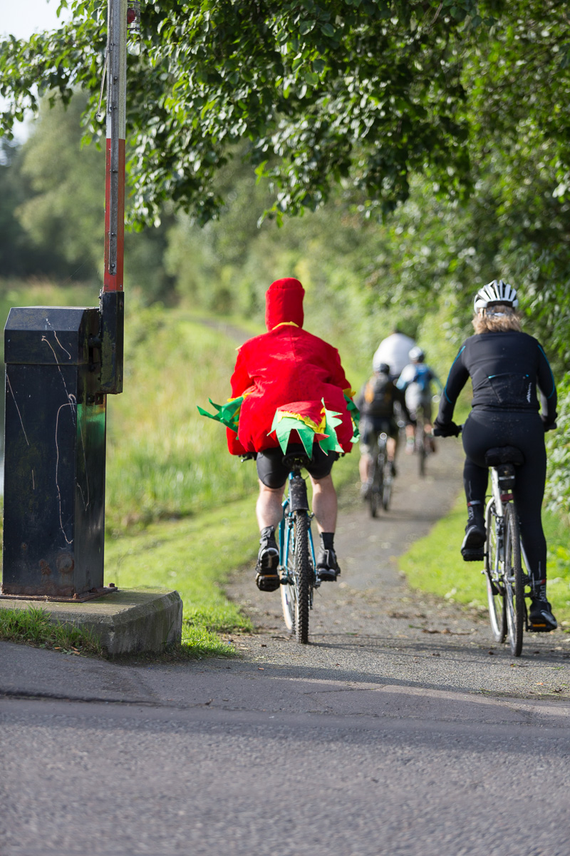A Chicken rides a bicycle on the towpath beside the Forth and Clyde Canal