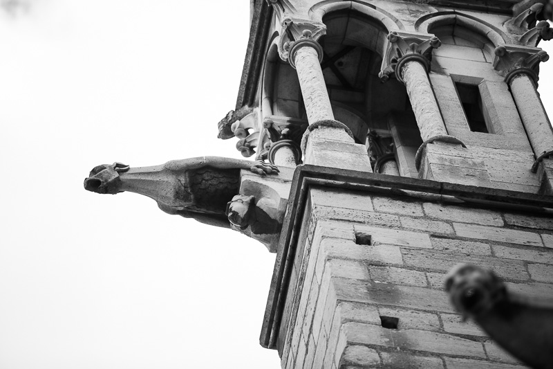 Gargoyle, Notre Dame - Photo by David Allan Barker, © 2013 all rights reserved