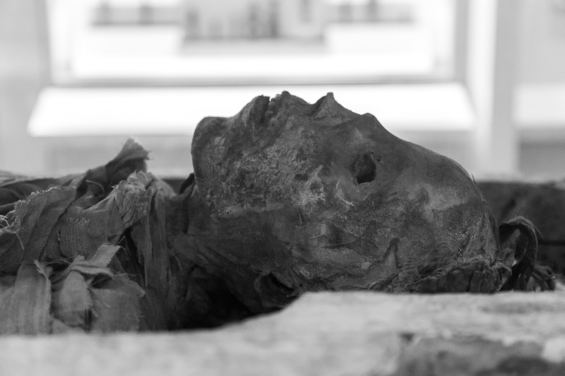 Mummy's head, Royal Ontario Museum