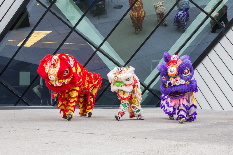 Lion Dance in front of the ROM