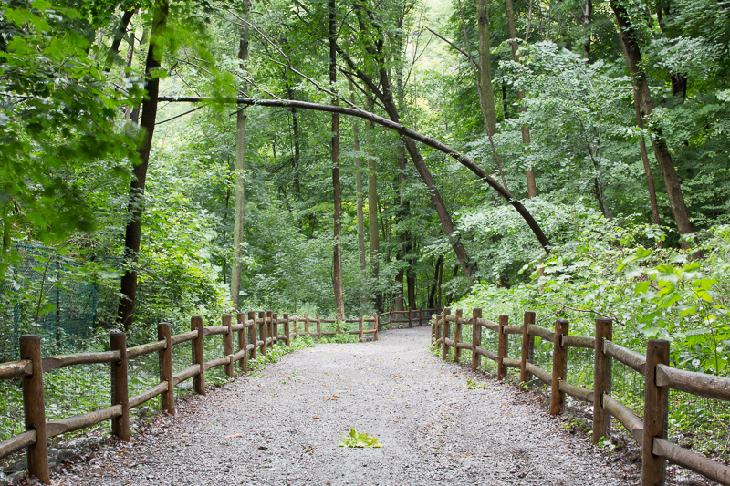 Milkman's Lane, which joins the Beltline Trail