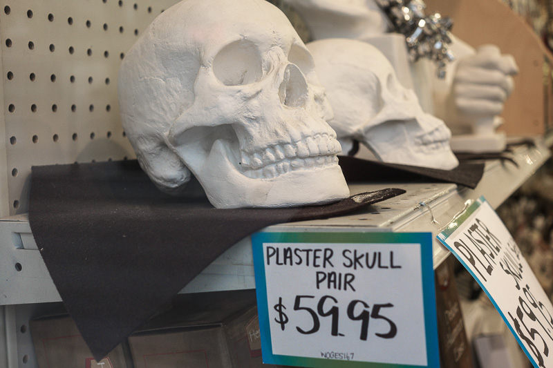 Plaster skulls