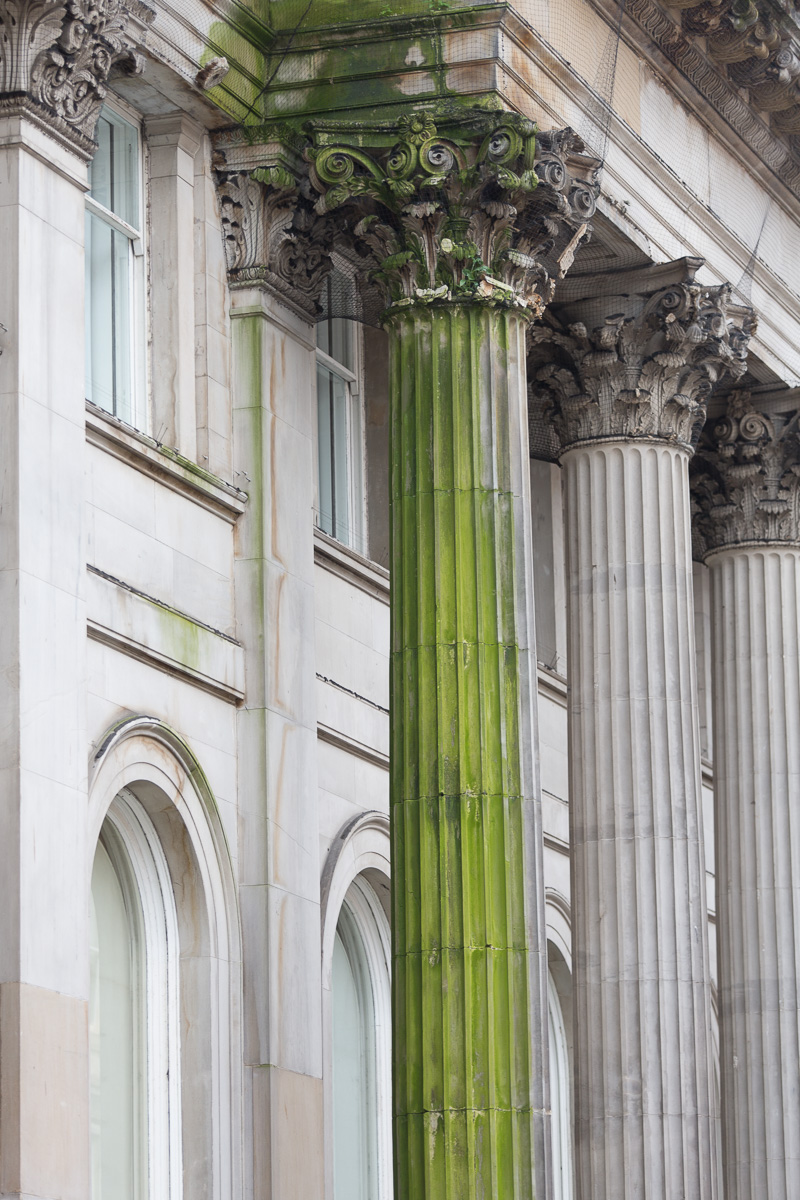 Algae on Gallery Of Modern Art column