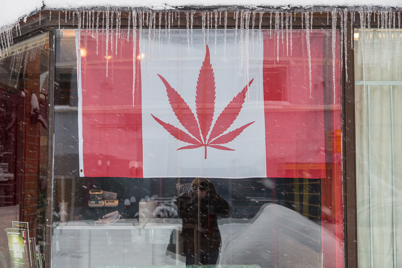 icicles over window displaying Canadian cannabis flag