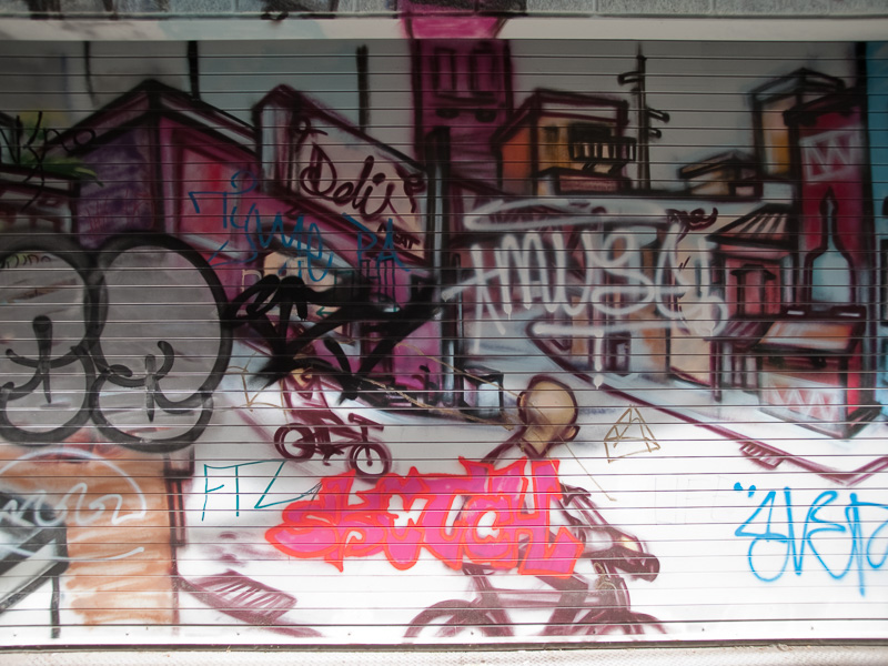 Graffiti on Garage Door - June 21, 2010