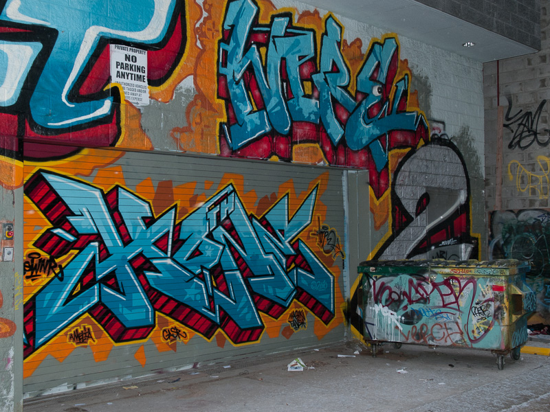 Graffiti on Garage Door - January 06, 2011