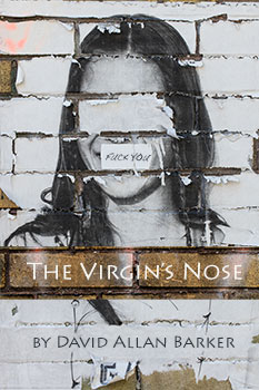 The Virgin's Nose, by David Allan Barker - book cover