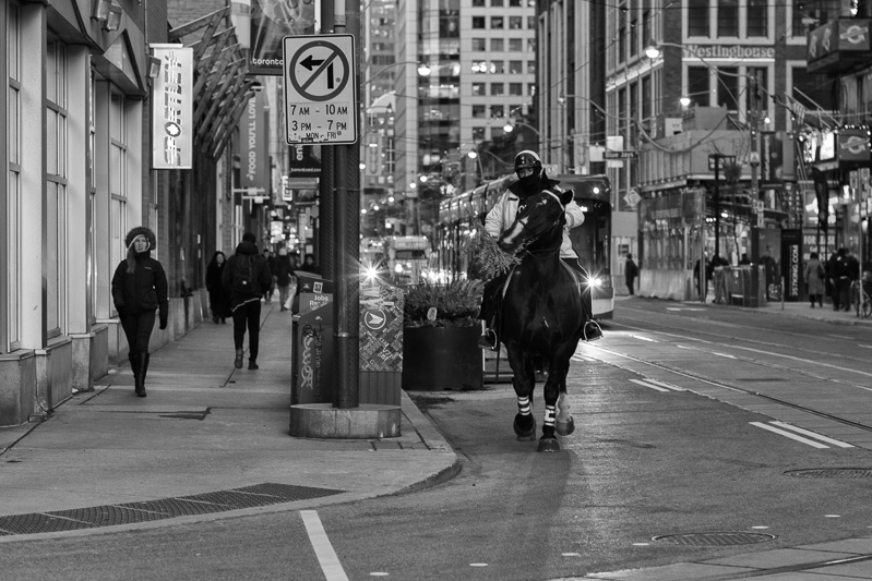 Police Horse on King Street West, Toronto