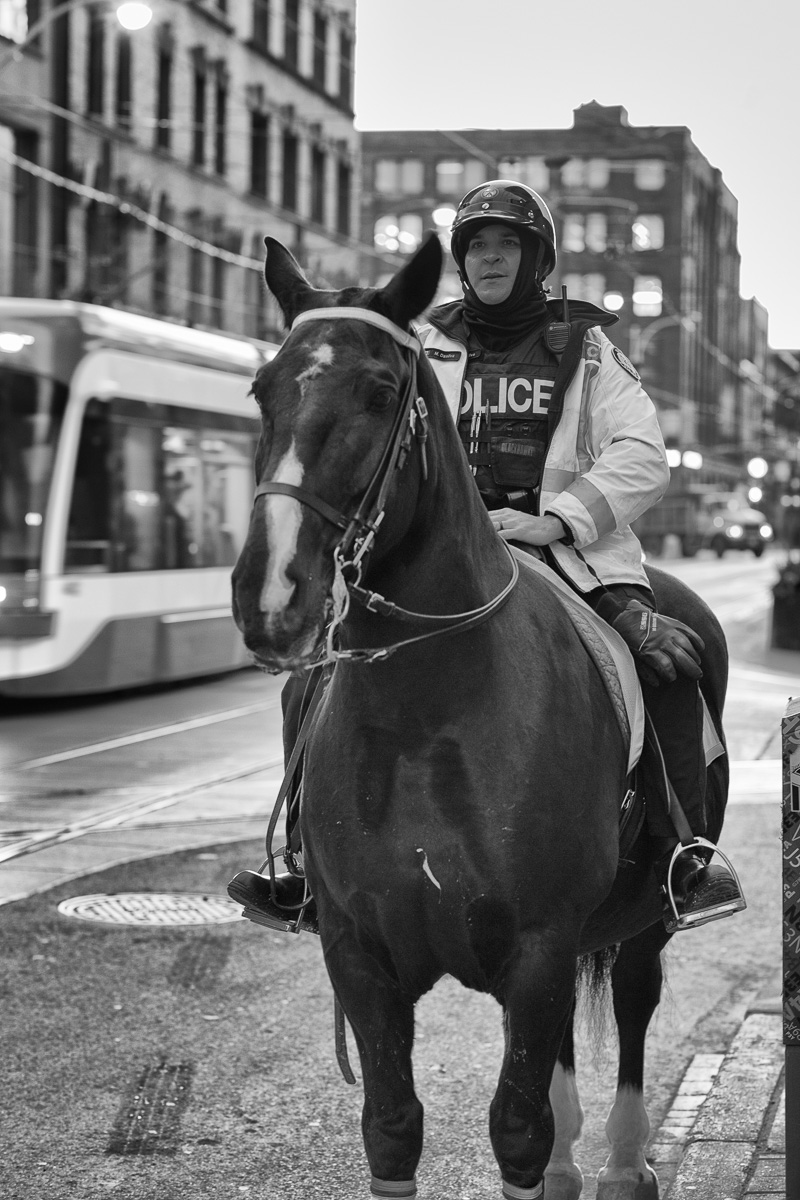 Police Horse on King Street West, Toronto