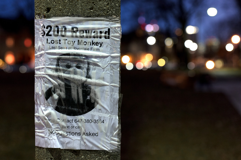 Poster in Riverdale West Park: $200 Reward, Lost Toy Monkey