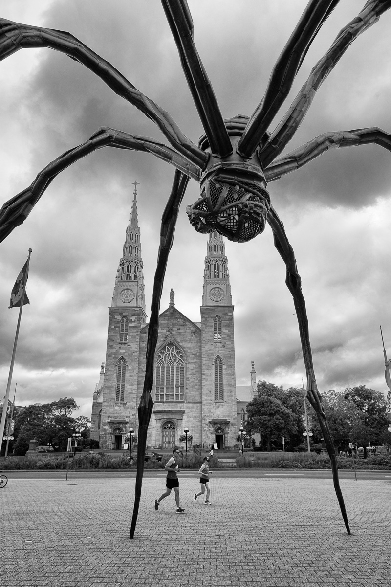 Maman, by Louise Bourgeois, National Gallery of Canada