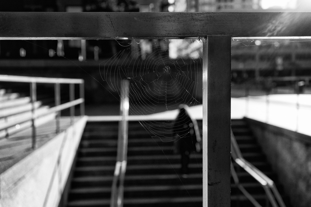 Spider web on a railing in Toronto's financial district.