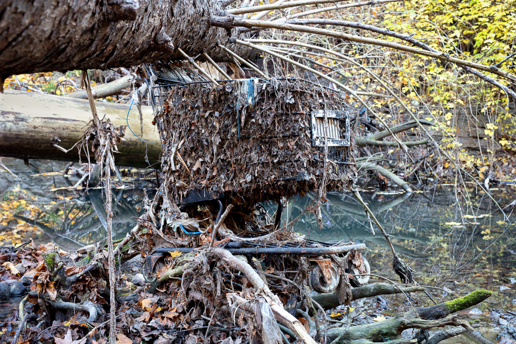 Abandoned grocery cart in river