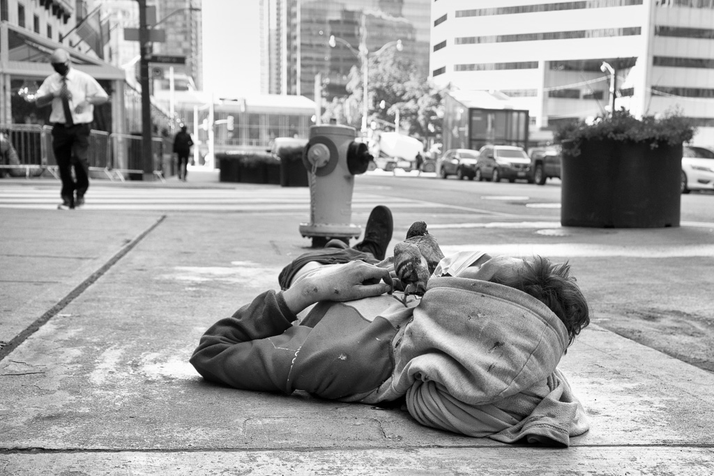 Homeless man sleeps on sidewalk while a pigeon stands on his chest.
