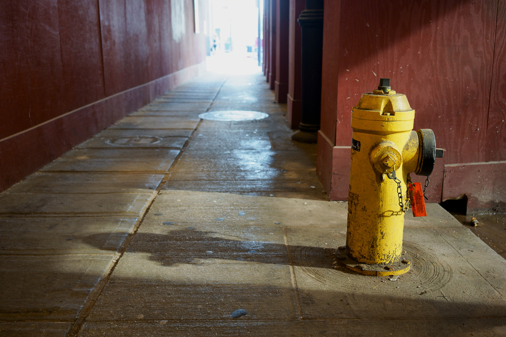 A fire hydrant enjoys some early morning light.